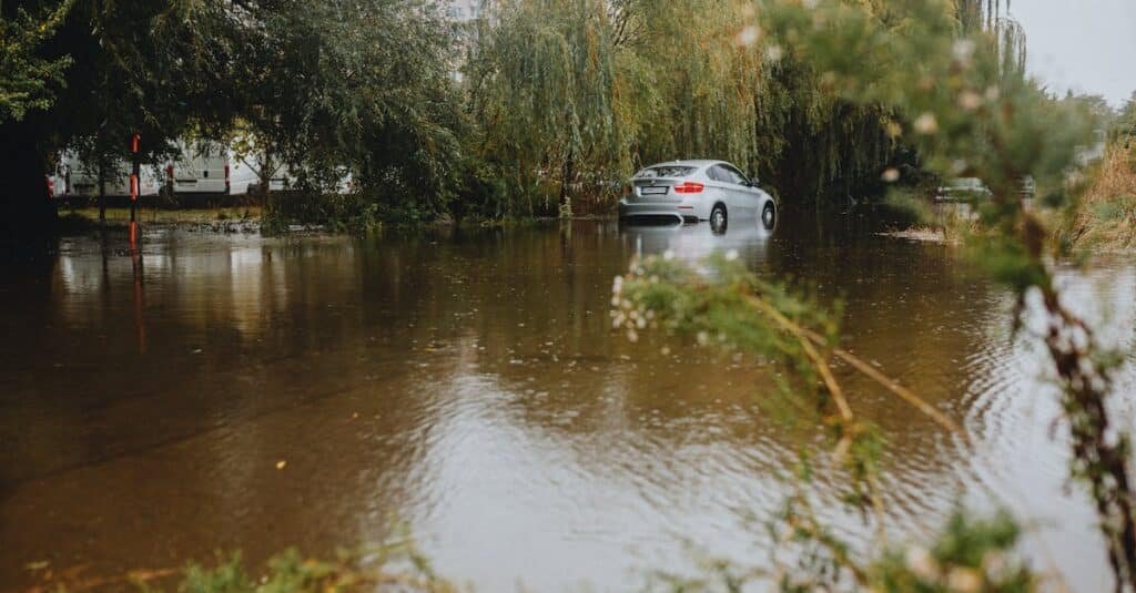 découvrez les enjeux et les défis liés aux risques environnementaux. informez-vous sur les impacts des activités humaines sur la planète et les mesures à prendre pour protéger notre environnement.