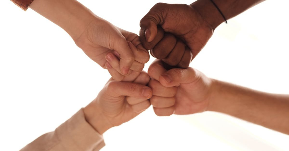 découvrez les clés de l'intégration réussie dans divers domaines, des techniques aux meilleures pratiques. apprenez comment optimiser vos processus et favoriser une collaboration harmonieuse pour atteindre vos objectifs.