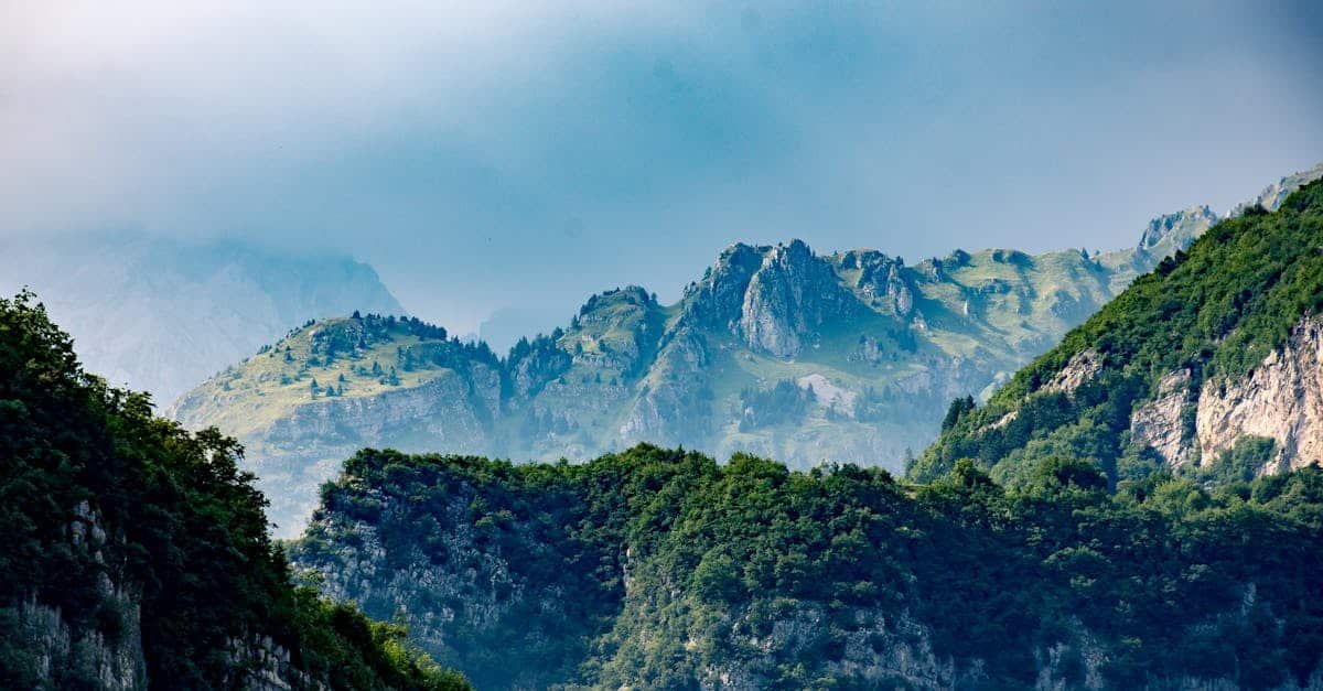 découvrez les caractéristiques régionales qui définissent les différentes cultures, traditions et paysages de notre monde. plongez dans la diversité des régions et explorez leurs spécificités uniques.