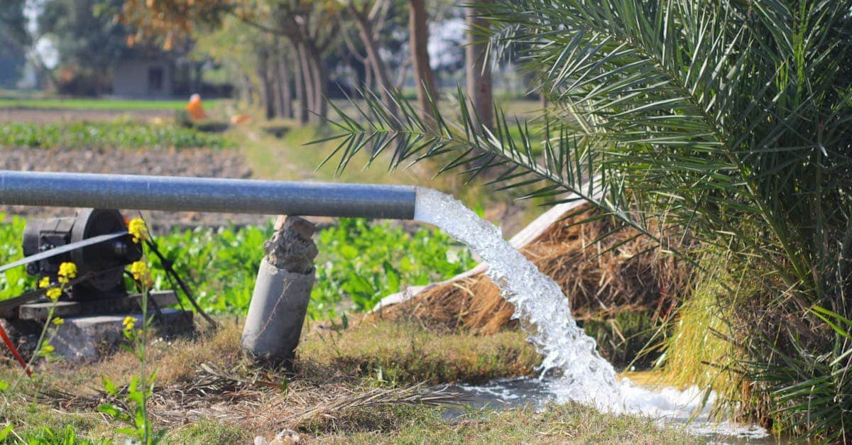 découvrez les meilleures pratiques de gestion durable de l'eau pour préserver cette ressource précieuse. apprenez comment optimiser l'utilisation de l'eau, réduire le gaspillage et promouvoir l'écologie tout en garantissant un accès équitable et responsable pour les générations futures.