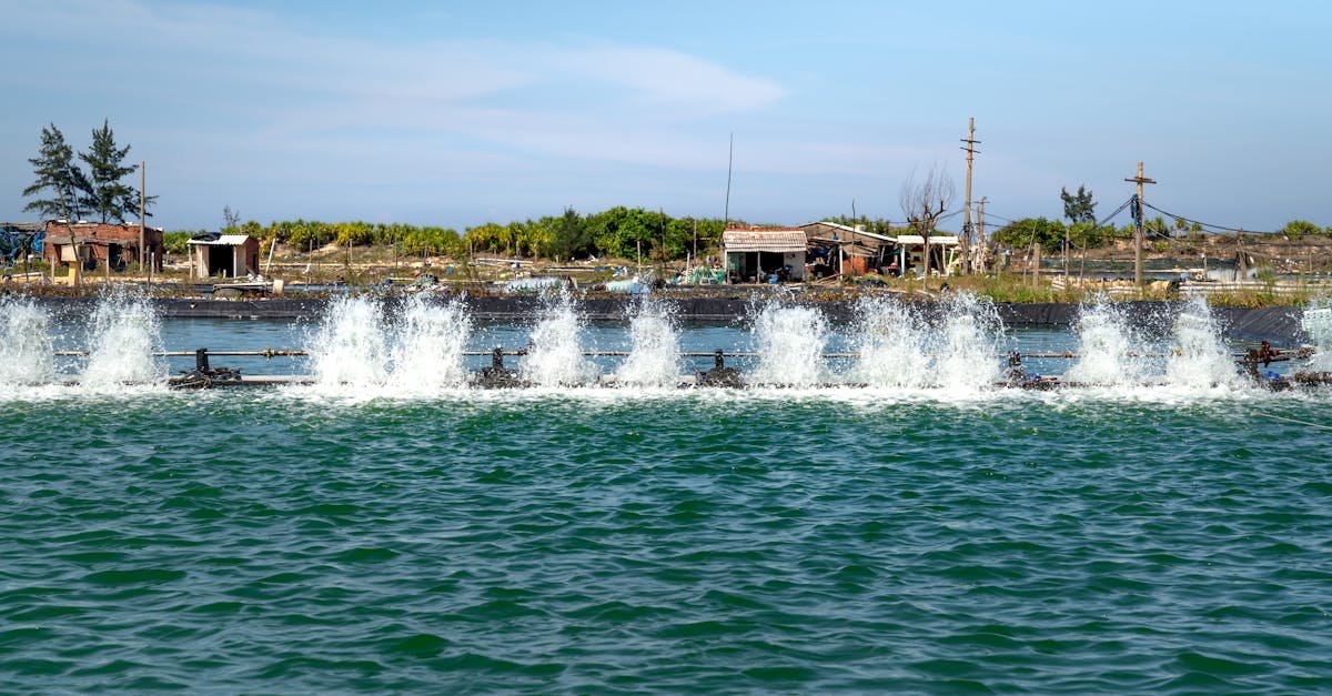 découvrez l'importance de la gestion durable de l'eau, qui permet de préserver nos ressources hydriques pour les générations futures, tout en favorisant une utilisation responsable et équitable de cette précieuse ressource. apprenez des stratégies innovantes pour une eau propre et accessible à tous.