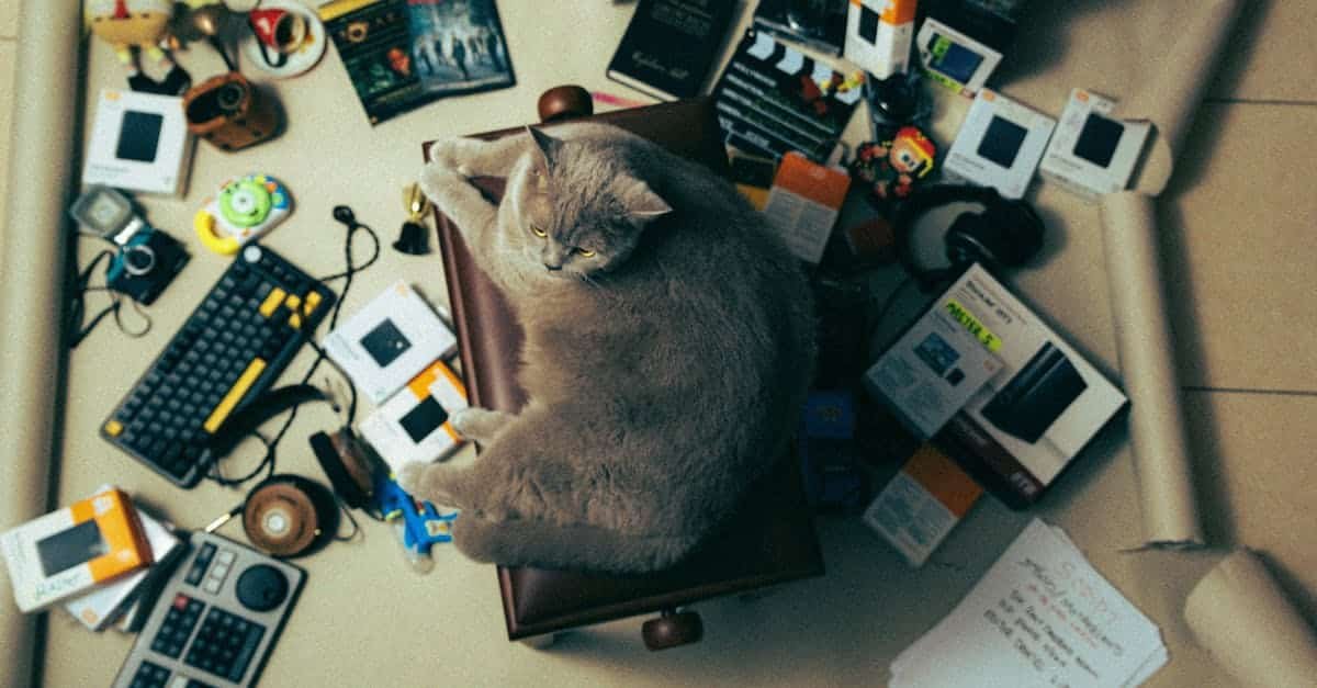découvrez les dernières innovations technologiques qui transforment notre quotidien. de l'intelligence artificielle aux objets connectés, explorez comment ces avancées façonnent l'avenir et améliorent notre façon de vivre et de travailler.