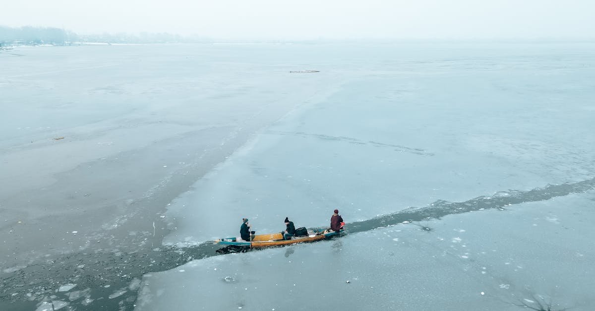 découvrez les défis liés à l'eau : enjeux environnementaux, pénuries, pollution et solutions durables pour préserver cette ressource cruciale pour notre planète et notre avenir.