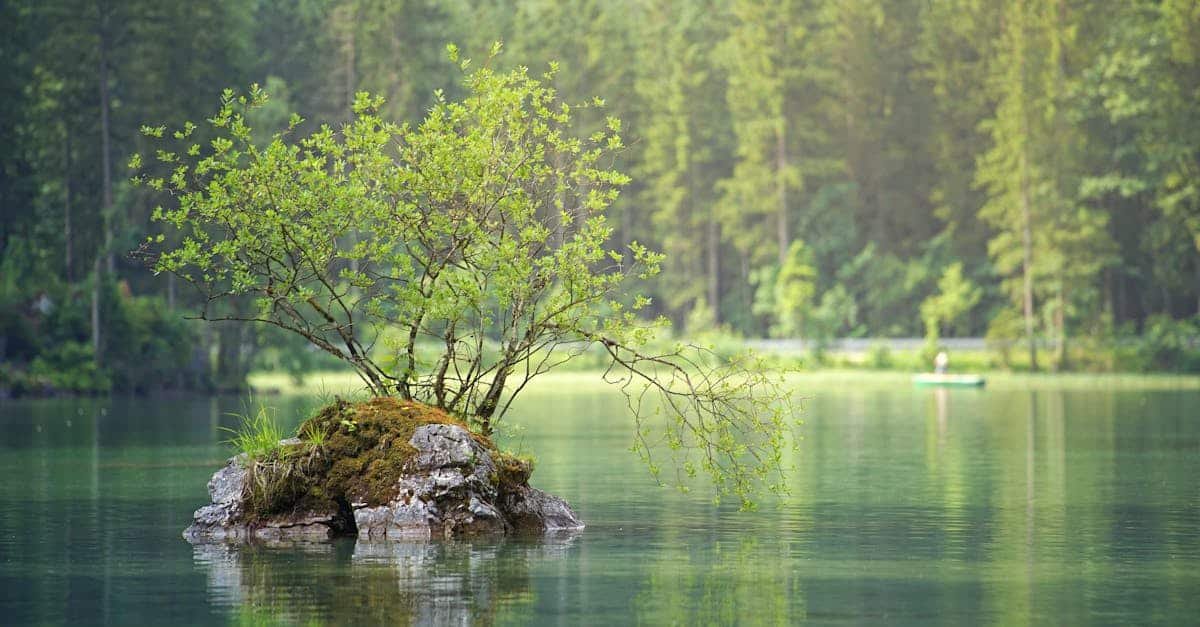 découvrez les tendances et analyses sur la croissance du marché de l'eau, examinant les opportunités d'investissement, les défis environnementaux et les innovations technologiques qui façonnent l'avenir de cette ressource essentielle.